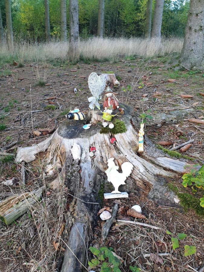 Andinas Ferienwohnung In Ruhiger Lage Direkt Am Wald Wilnsdorf Dış mekan fotoğraf